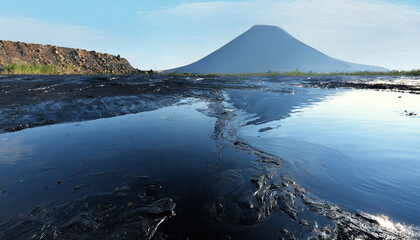 Obraz premium surface of black oil pollution