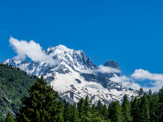 Obraz premium Les Grands Montets, alpages, mélèzes et sommets enneigés en vallée de chamonix, avec ciel bleu