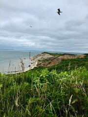 view from the beach
