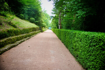Long walkway with box topiary and hedging in the topiary garden at Les Jardins de Marqueyssac in the Dordogne, France
