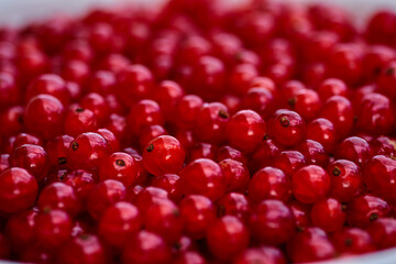 Red currant on green grass background in white cup, on the spoon