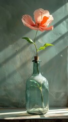 Pink flower in a green glass vase on a window sill, Plant background