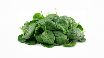 Fototapeta premium Fresh Spinach Leaves on White Background