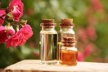 Bottles of aromatherapy essential oil with pink rose flowers outdoors