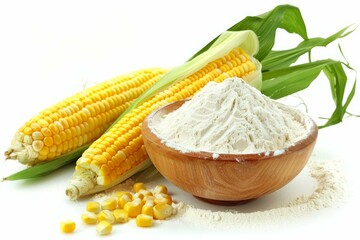 Cornstarch in a bowl with fresh corn cobs, maize flour on white background