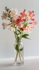 Vase with flowers: Alstroemeria, white background.