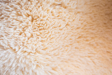 Wool texture