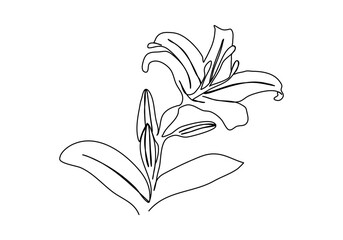 Flower. One line drawing vector illustration.