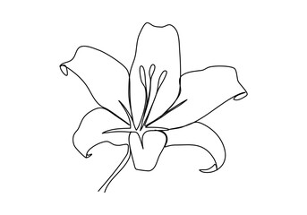 Flower. One line drawing vector illustration.