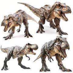 Fototapeta premium set of tyrannosaurus rex 3d render isolated on white background