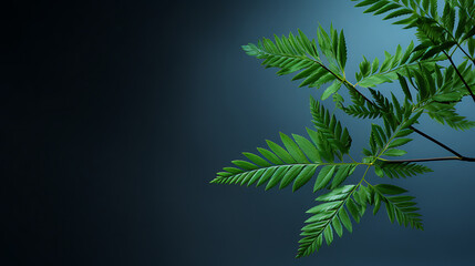 Green fern leaves on a blue background, evoking nature, tranquility, and a sense of peace. 