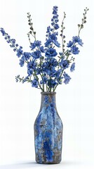 Vase with flowers: Delphinium, white background.