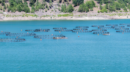 Fish farms built on the lake
