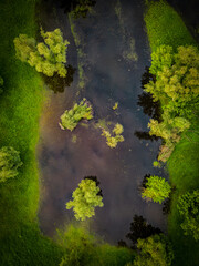 Top down view of flooded meadow with trees, with water reflecting clouds from the sky