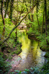 Slapnica stream canyon in the dense forest of Zumberak mountains, Croatia, popular weekend walking trail through the green woods in spring season