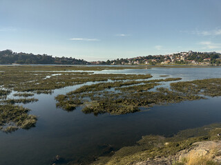 Ramallosa Marsh: Natural Beauty in Nigran, Pontevedra, Galicia, Spain