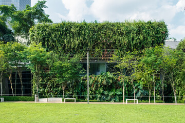 Building facade covered with lush green vertical garden and trees in the foreground in Kuala Lumpur city, Malaysia. Eco friendly urban environment. Sustainable modern and ecological architecture