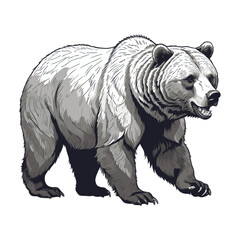 Bear Walking Engraved Illustration