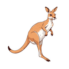 Hand Drawn Kangaroo Illustration