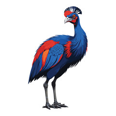 Cassowary Bird Flat Vector Illustration