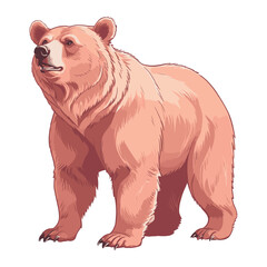Hand Drawn Grizzly Bear Illustration