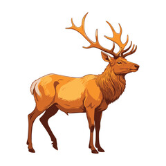 Hand Drawn Elk Vector Illustration