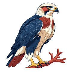 Hawk Standing Flat Vector Illustration