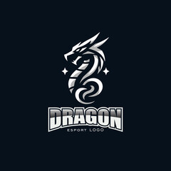 Dragon minimalist vector logo design for e-sport and other company 
