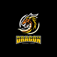 Dragon minimalist vector logo design for e-sport and other company 