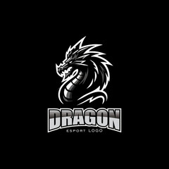 Dragon minimalist vector logo design for e-sport and other company 