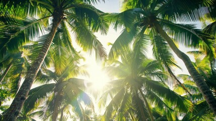 An enchanting view captures the sunrays shining through the leaves of palm trees against a flawless blue sky, evoking feelings of relaxation, peace, and tropical bliss.