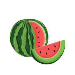 Colorful ripe watermelon and a juicy slice of watermelon in white background. Design for watermelon lovers, vegetarian café, fruit farm, Watermelon Day. Vector illustration of flat fresh fruit EPS10
