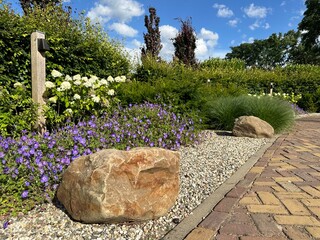 Landscaping with boulders. Flower bed with ornamental grass, hydrangea, geranium and boulders on pebbles © Alona