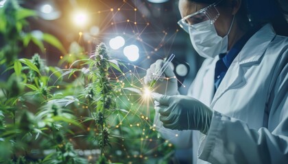 Cutting edge fusion of technology and biotechnology revolutionizes cannabis farming