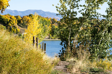 landscape with a fence