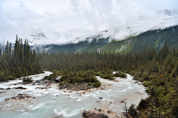 Natural Bridge in Yoho National Park