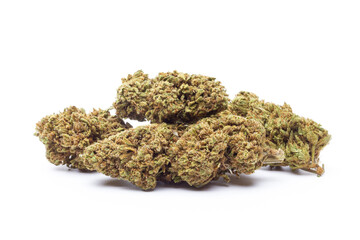 Marijuana flowers isolated on white background
