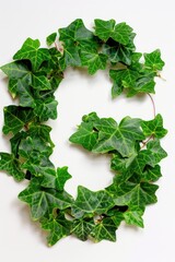 Obraz premium A decorative wreath made of green leaves placed on a white surface, suitable for various occasions and themes