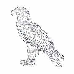 Obraz premium drawing of a bird eagle