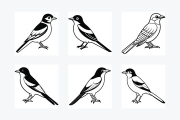 Solid color Eastern Kingbird animal vector design