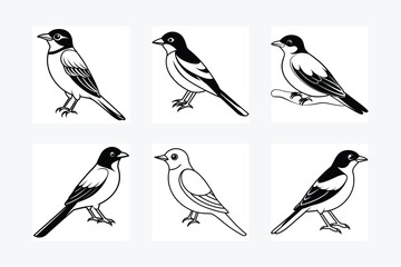 Solid color Eastern Kingbird animal vector design