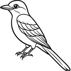 Solid color Eastern Kingbird animal vector design