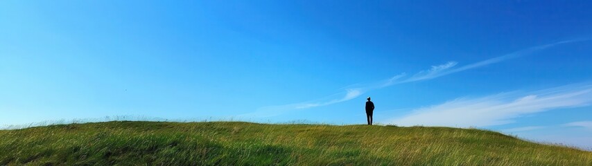 Fototapeta premium person standing on a grassy hill with a kite in the sky