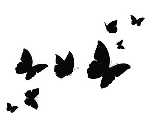 butterflies silhouettes set black vector	