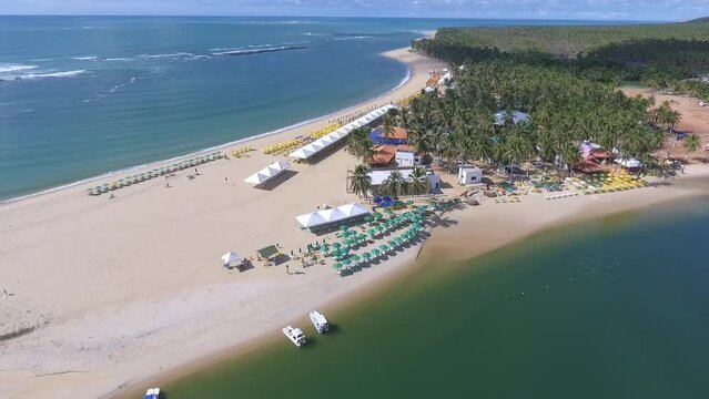 Aeral view of Gunga Beach - Roteiro, Alagoas, Brazil