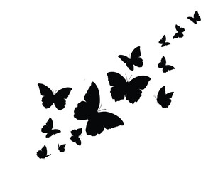 black flat decorative butterflies hand drawn