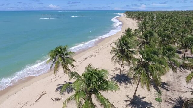 Aeral view of Gunga Beach - Roteiro, Alagoas, Brazil