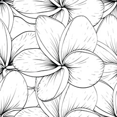 Fototapeta premium Seamless pattern vintage with frangipani flowers background.Vector illustration hand drawing. Fabric pattern print design.