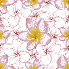 Seamless pattern vintage with frangipani flowers background.Vector illustration hand drawing. Fabric pattern print design.