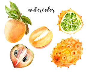 Watercolor illustration of sapodilla, kiwano. Artistic drawing with colorful fruits